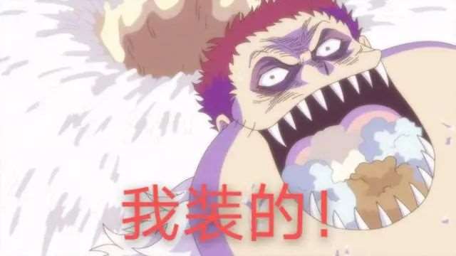 海贼王里的那些厉害的爹妈常常也会有厉害的儿子