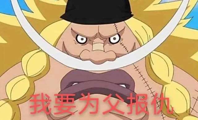 海贼王里的那些厉害的爹妈常常也会有厉害的儿子