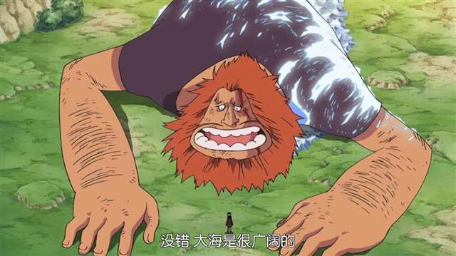 海贼王青雉会向我们展现一条怎样的新路呢？