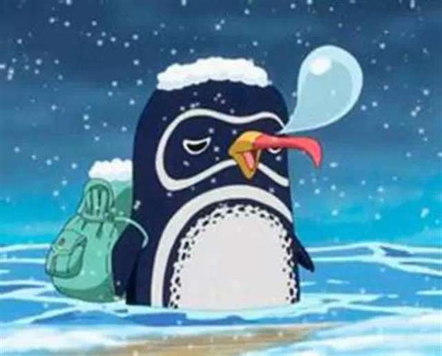 海贼王:青雉 “纯粹流浪的人跟抱定决心做大事的人，面相可大不一样。”