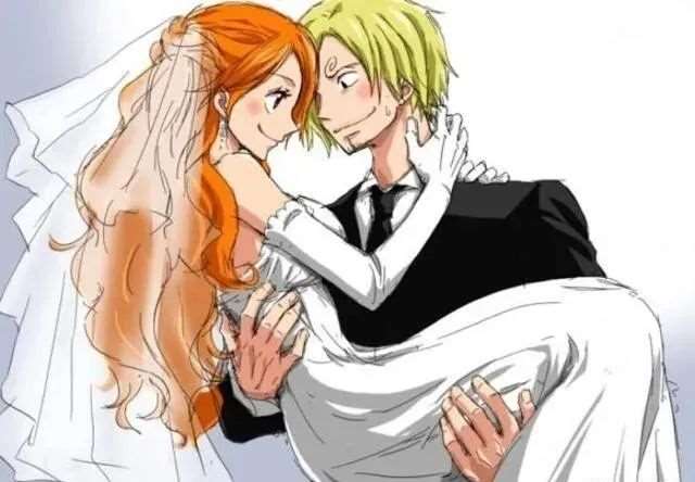 海贼王娜美最终会嫁给谁呢？