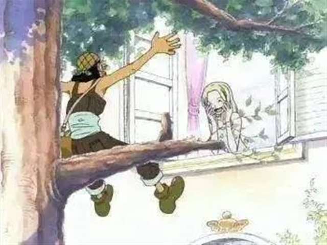 海贼王剧中不经意透露的cp组合