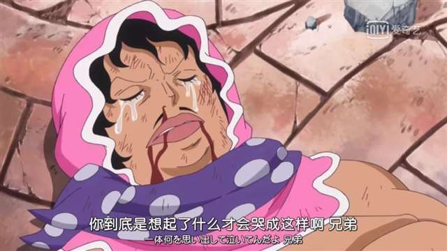 海贼王官方甜到炸的CP大全