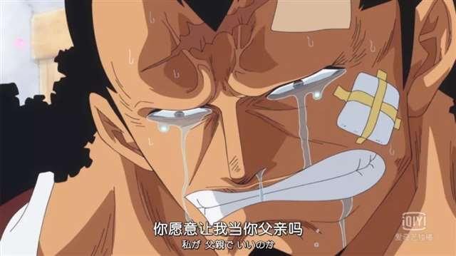 海贼王官方甜到炸的CP大全