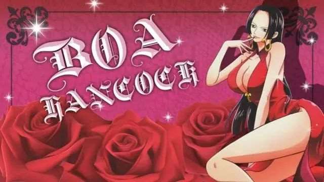 海贼王中的10对CP
