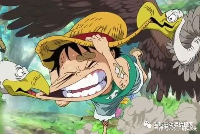 回顾《海贼王》动画路飞追逐艾斯的三个月