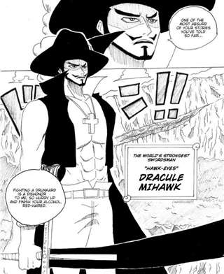 海贼王同人漫：鹰眼x红发漫画帝王受