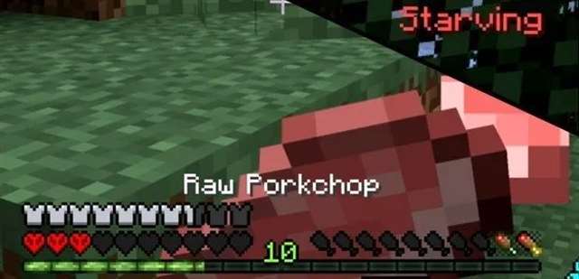 《我的世界》「极限模式」（Hardcore mode）