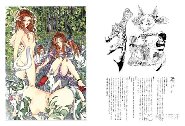 插画家、漫画家笠井亚由美（AYUMI KASAI）