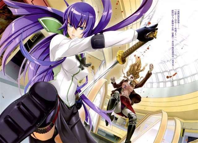 日本动漫角色《学园默示录》毒岛冴子