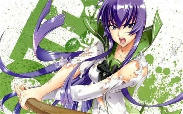 日本动漫角色《学园默示录》毒岛冴子