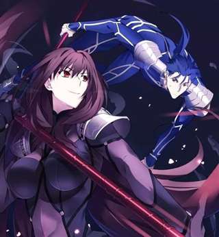 Fate斯卡哈人物背景