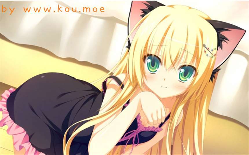 fd【鬼的捉迷藏】汉化硬盘版【附全cg ost】乙女游戏