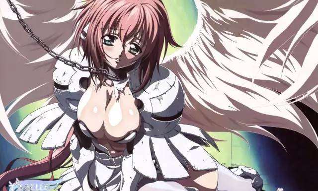 二次元美女的巨乳宝贝，，一起去美胸之间徜徉吧。