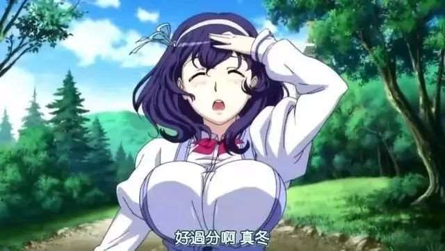 各个动漫中美女的胸部大小排行榜