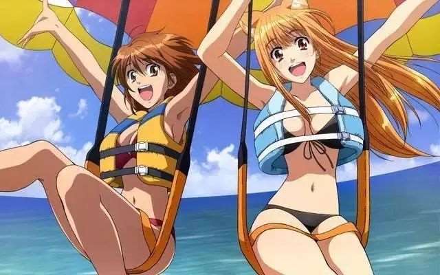 各个动漫中美女的胸部大小排行榜