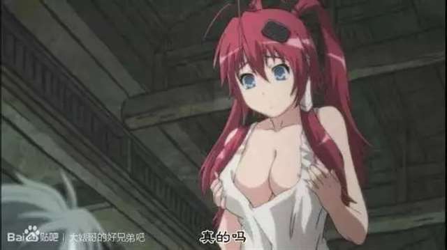 各个动漫中美女的胸部大小排行榜