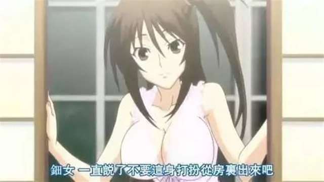 各个动漫中美女的胸部大小排行榜