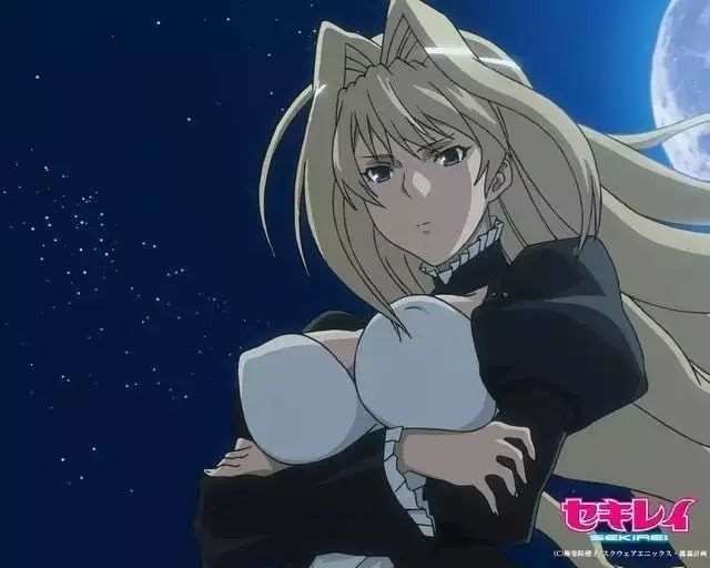 各个动漫中美女的胸部大小排行榜