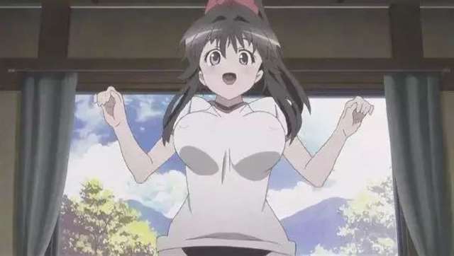 各个动漫中美女的胸部大小排行榜