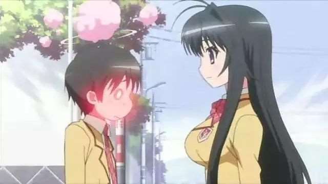 各个动漫中美女的胸部大小排行榜