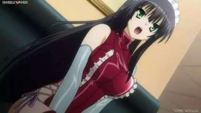 各个动漫中美女的胸部大小排行榜