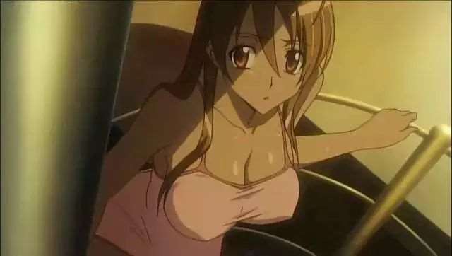 各个动漫中美女的胸部大小排行榜