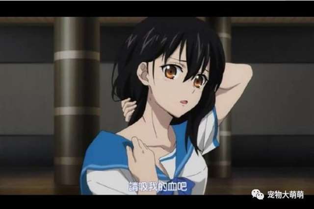 漫中的五位平胸美女 一起来看看吧