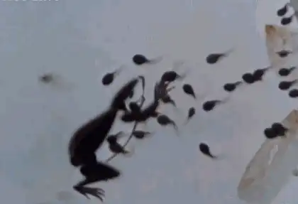 哪些动画片陪伴了你的童年？