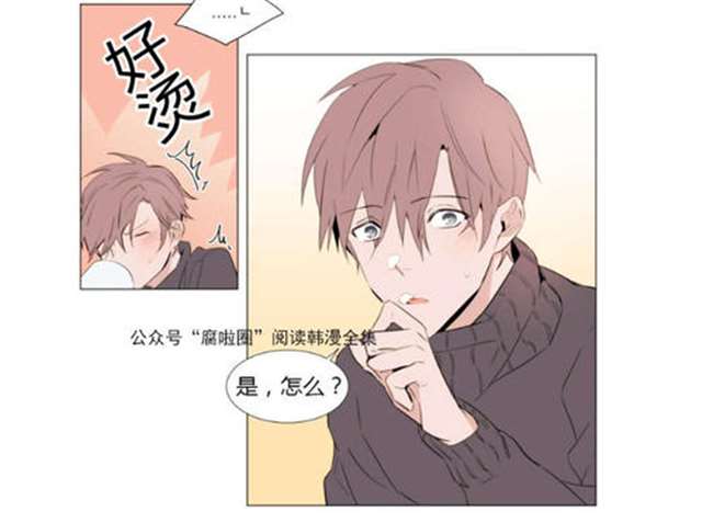 我被爱豆不可描述了漫画