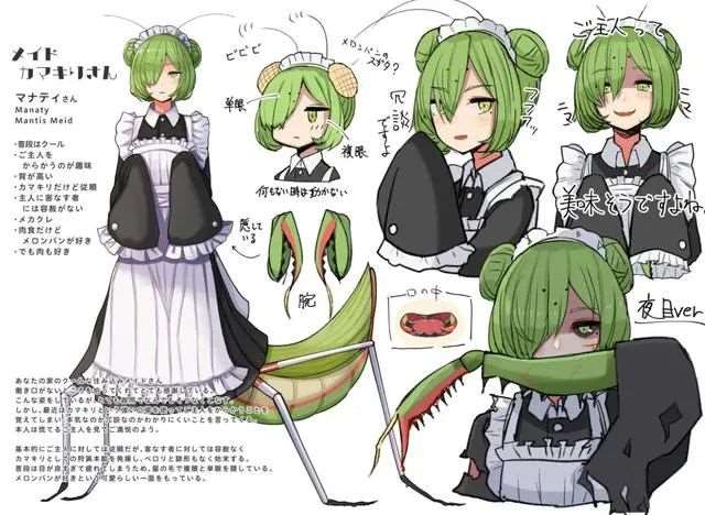 拟人同人的作品 画师大佬“kumano_plan”