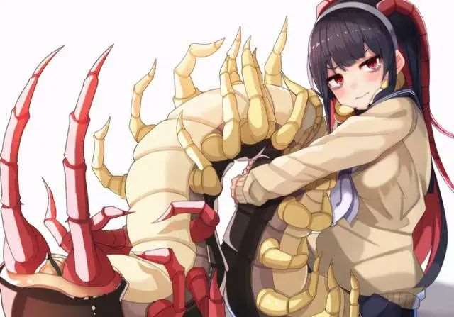 画师大佬的同人作品几十条腿的动漫美少女