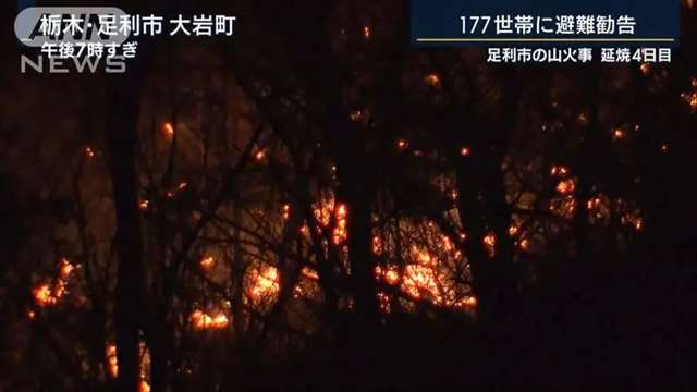 《刀剑乱舞》圣地「御岳神社」被烧毁