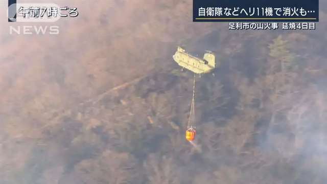 《刀剑乱舞》圣地「御岳神社」被烧毁