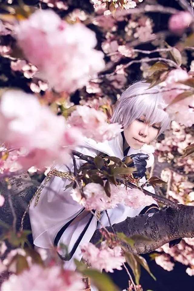 【cos正片】刀剑乱舞 三日鹤球