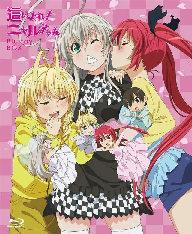 潜行吧 奈亚子 梗概