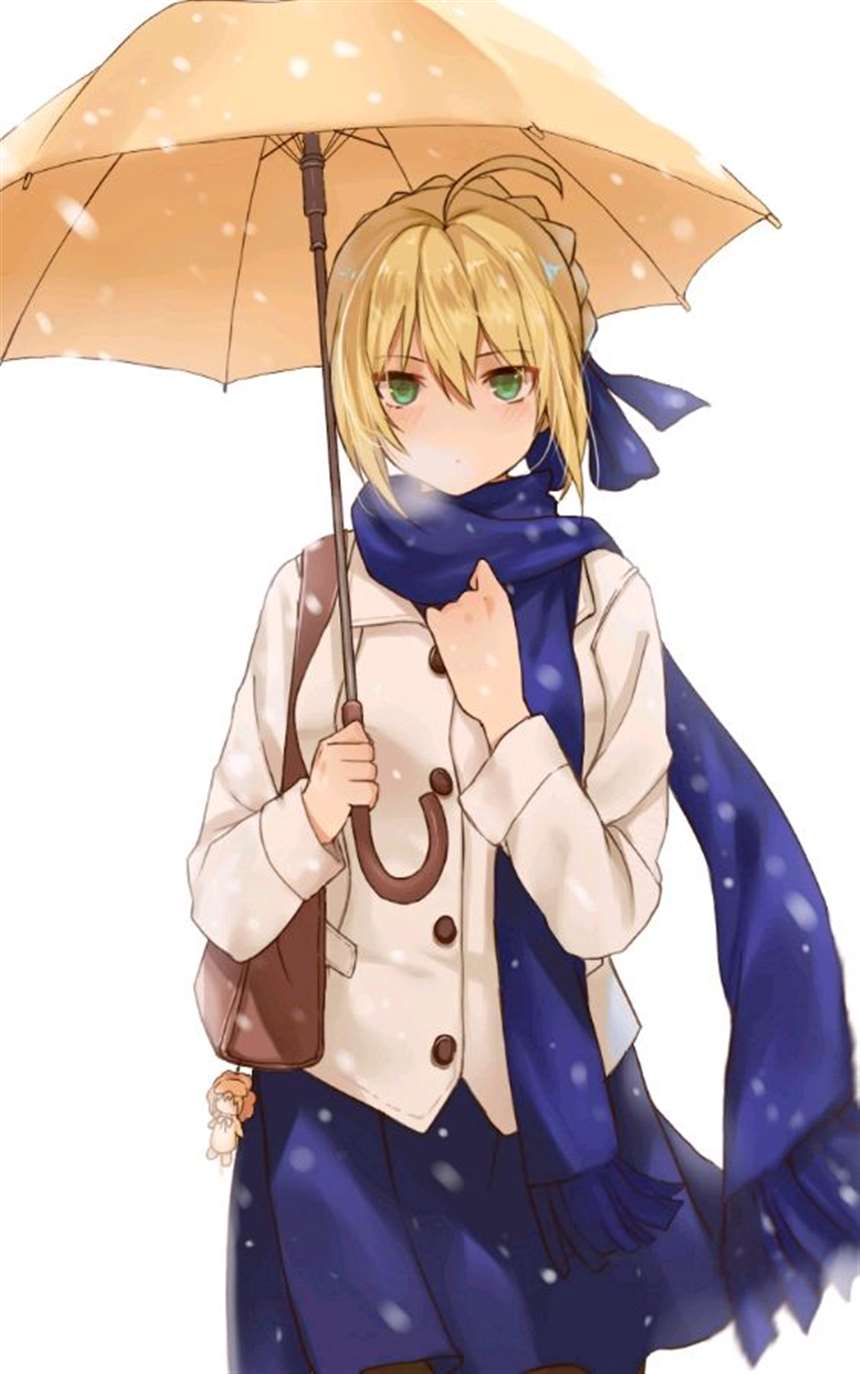 fate saber 吾王