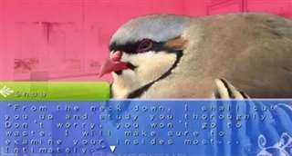 最著名的18禁文字游戏之《日在校园》