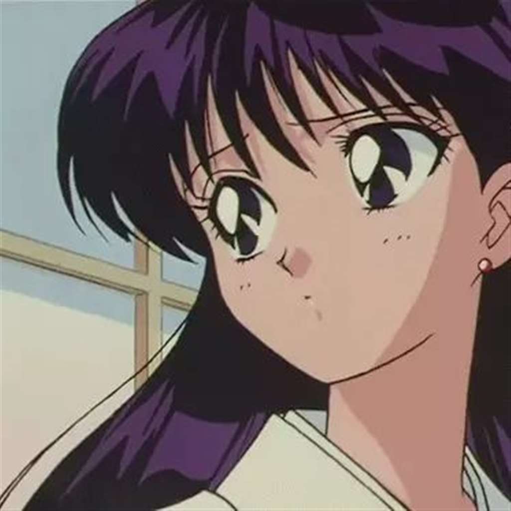 Sailor Mars火野丽人物档案