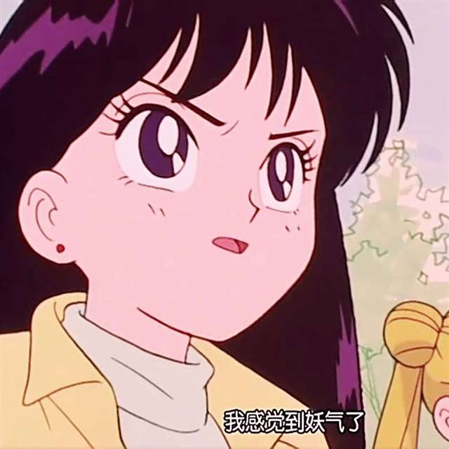  64个火野丽（又译火野蕾依和火野玲）动漫头像