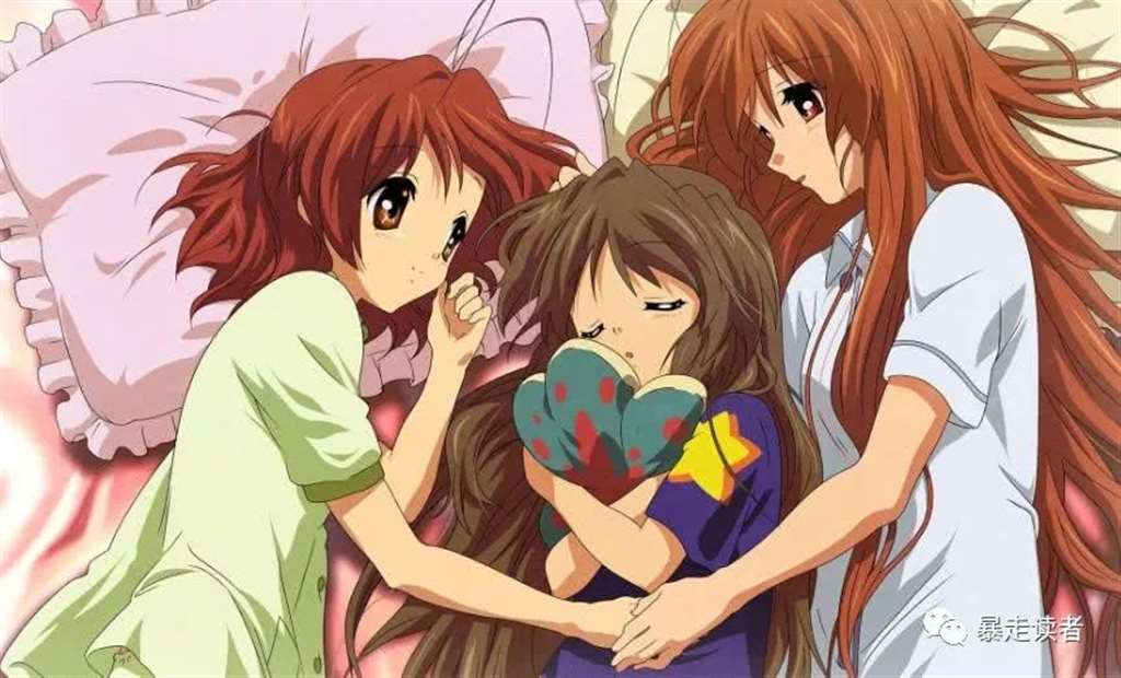 一部印象最深刻的动画《Clannad》