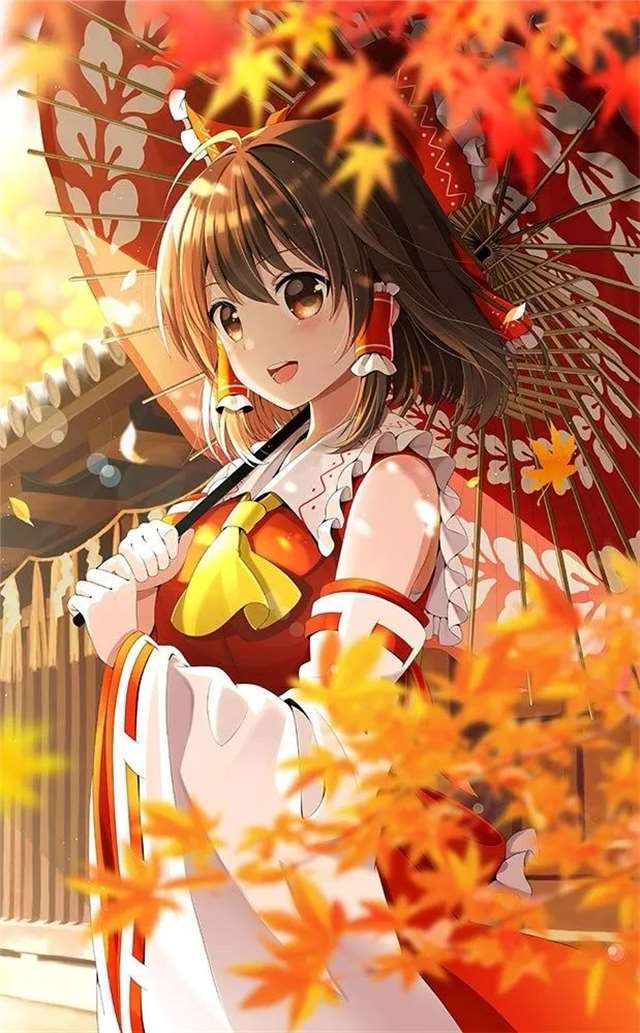 东方project-博丽灵梦二次元插画