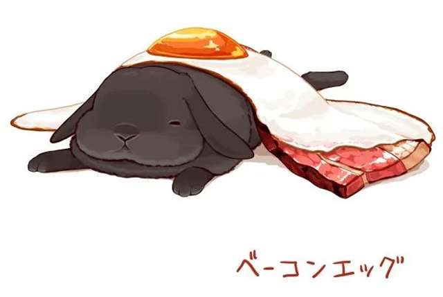 请问您今天要来点兔子吗??