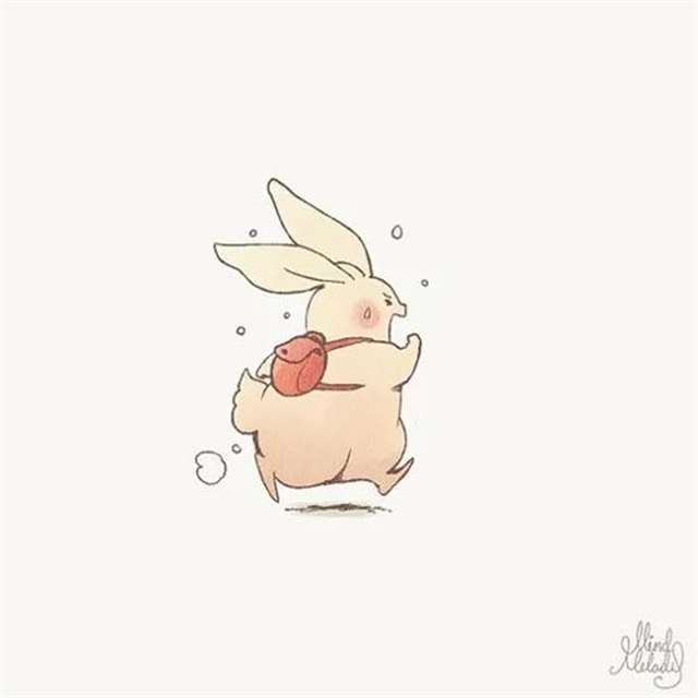 请问您今天要来点兔子吗??