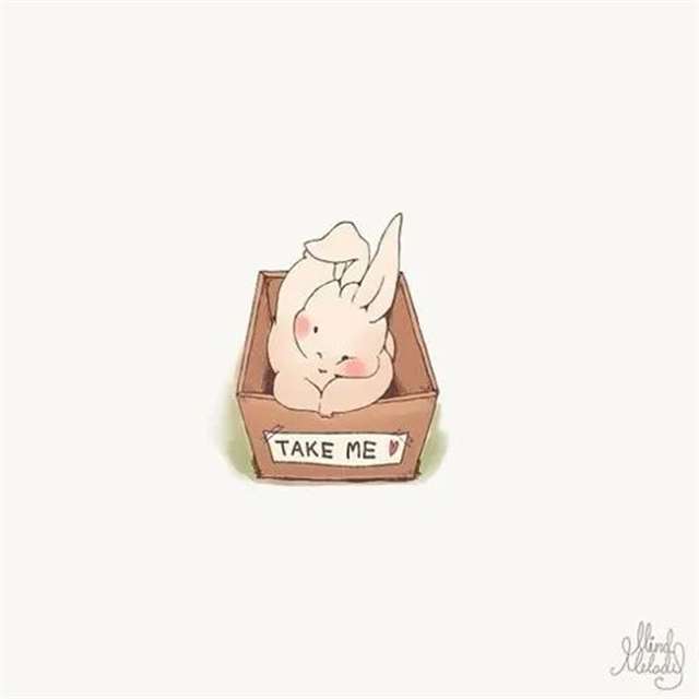 请问您今天要来点兔子吗??