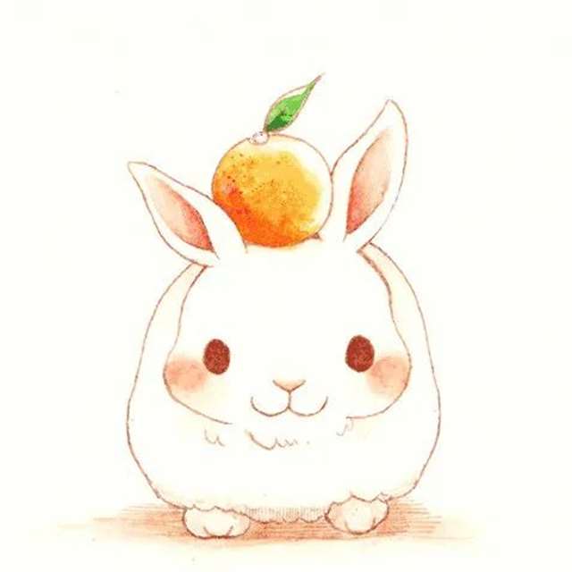 请问您今天要来点兔子吗??