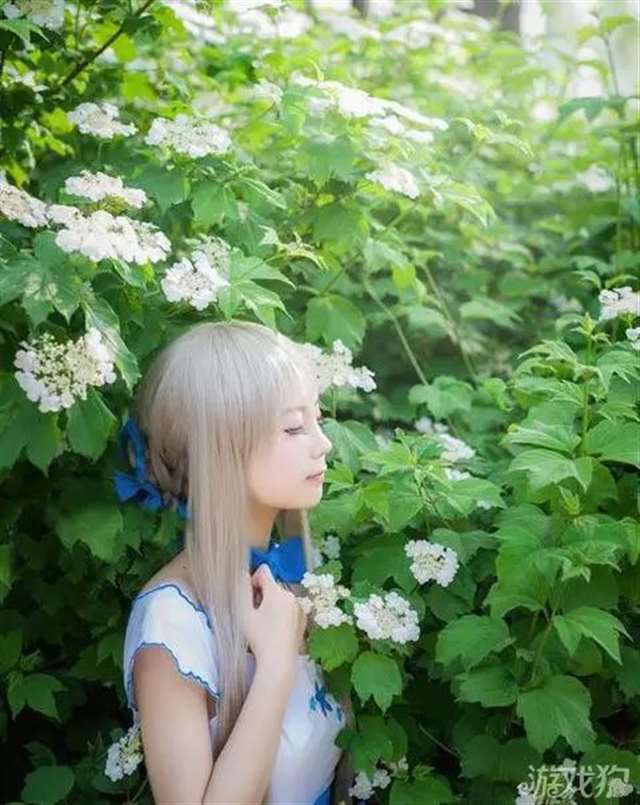 性格天然 本间芽衣子cosplay欣赏