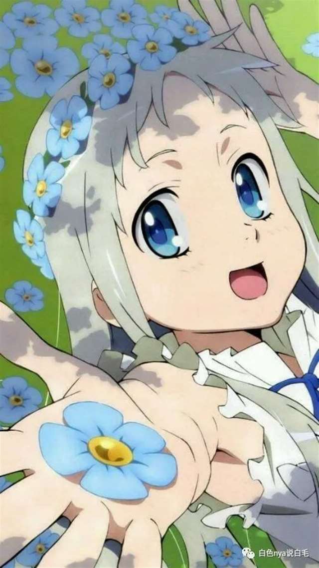 动漫白发美少女 本间芽衣子