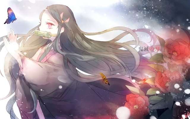 灶门祢豆子壁纸图集