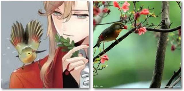 中国风植物拟人高清无水印图